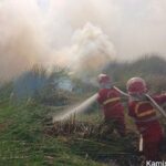 Karhutla di Kalsel Sulit Diatasi, Sekat Kanal dan Sumur Bor akan Dibangun di Lahan Gambut