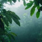 BMKG Musim Hujan Tiba Oktober, Kekeringan di Indonesia Berakhir meski El Nino Bertahan