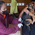 Rabies di Jembrana Capai 75 Kasus, Vaksinasi Emergency Dipercepat