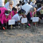 Benteng Alami Pesisir, Penanaman Mangrove Jadi Solusi Penahan Abrasi Bali
