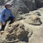 Jejak Kaki T. rex Dewasa Berusia 66,5 Juta Tahun Ditemukan di North Dakota
