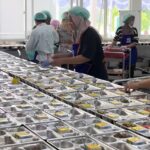 BGN Tetapkan Insentif SPPG Rp2.000 per Porsi mulai 5 Oktober