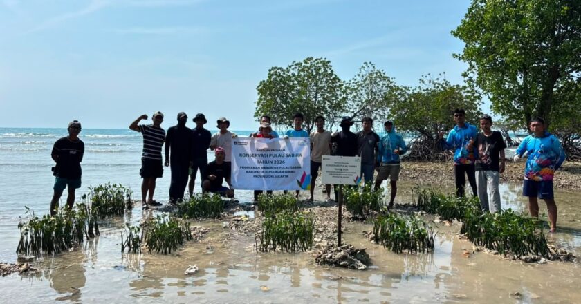 PLN Pulihkan Ekosistem Laut dan Perkuat Kemandirian Warga di Pulau Terluar Jakarta