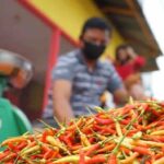 Harga Cabai Rawit Tembus Rp100 Ribu, Begini Respons Mentan Amran