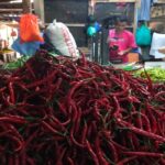 Musim Kemarau Sebabkan Harga Cabai Merah di Tasikmalaya Rp100 ribu per kg