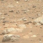 Penemuan Terorganisir di Mars Rover Perseverance NASA Temukan Batuan Terang Misterius