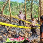 Nenek di Tulungagung Meninggal Terbakar Saat Bersihkan Ladang Jati