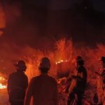 Karhutla di Jawa Barat Capai 719 Hektare, Sumedang Wilayah Terparah