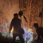 Karhutla Menjalar hingga Kawasan IKN, Puluhan Hektare Lahan di Kukar Terbakar
