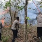 Kejadian Kebakaran di Indramayu Didominasi di Lahan Kosong, Ini Penyebabnya
