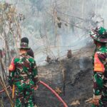IKN Dilanda Karhutla, Tim Gabungan Berjibaku Padamkan Api