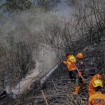 4 Petugas Gugur dalam Penanganan Karhutla di Bromo