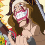 Profil Diamante, Divisi Tempur dari Bajak Laut Donquixote di One Piece