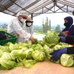 Kemitraan Industri Dorong Pemasok Lokal Naik Kelas dan Perluas Lapangan Kerja