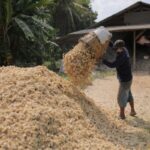 Kebutuhan Biomassa PLTU 9 Juta Ton per Tahun, Sampah Dibidik Jadi Sumber Energi