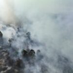Karhutla Sulbar Belum Surut, 878 Hektare Lahan Hangus Terbakar